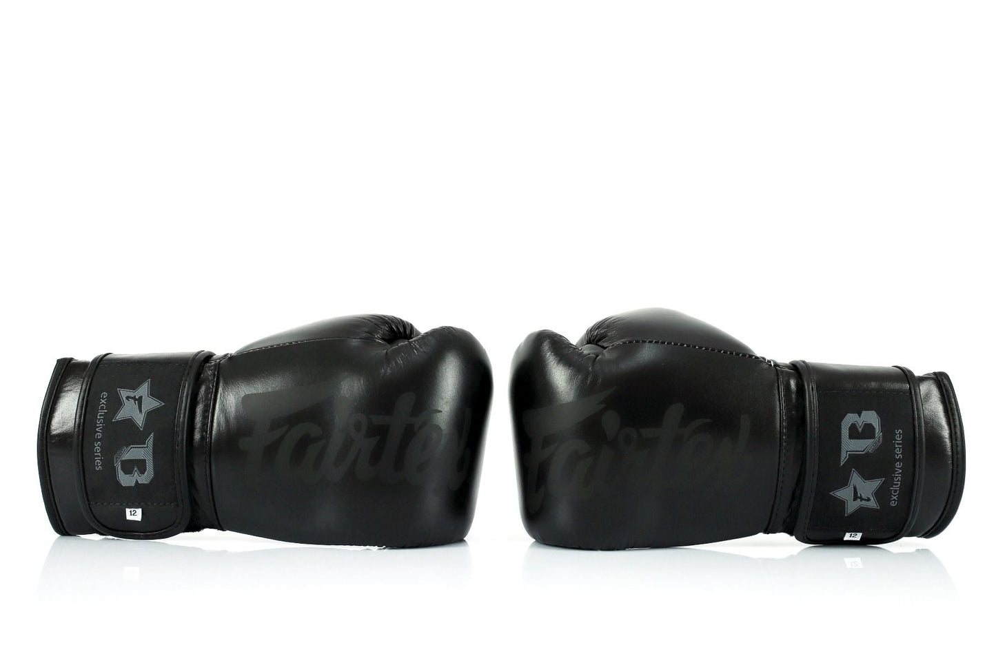 Guantoni da Boxe Fairtex x Booster FXB-BG Nero
